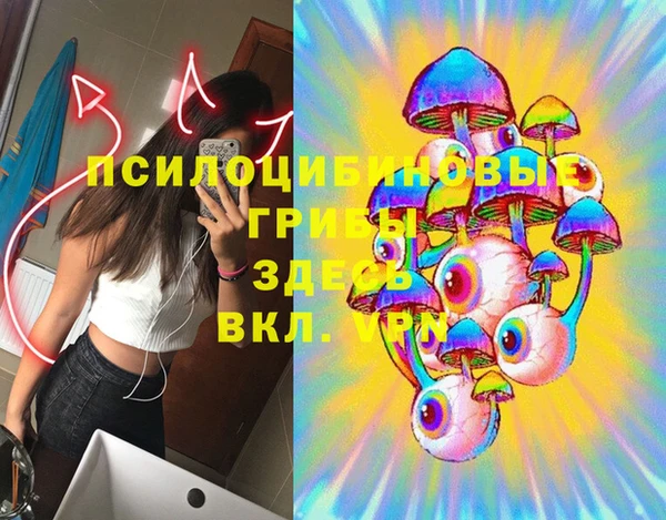 дурь Верея